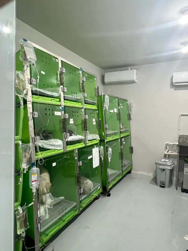 Corredor de atendimento da LerVet