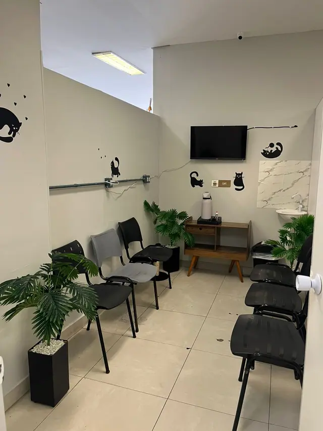 Sala de espera temática da LerVet