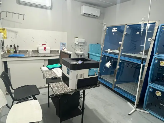 Área de internação da LerVet
